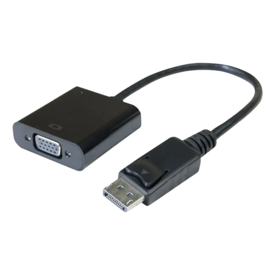 eizo-convertisseur-dp-actif-1-2-vers-vga-15-cm image 1