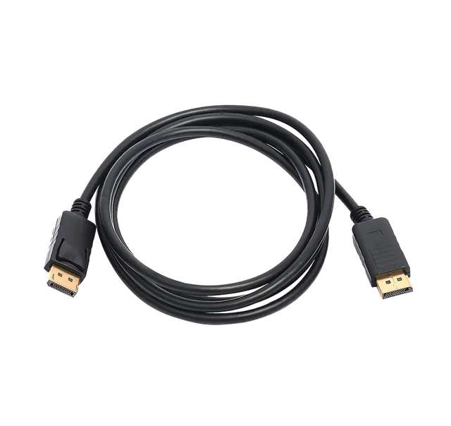 eizo-pp200-c-ble-displayport-displayport-2-m-noir image 1