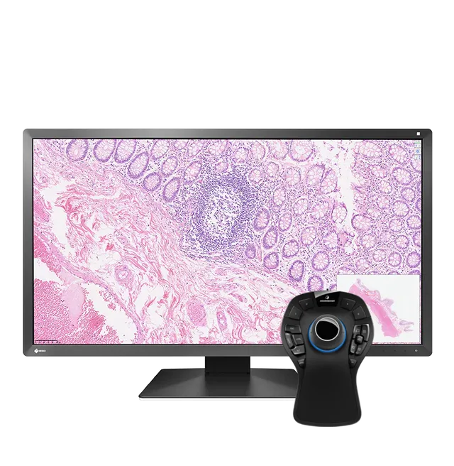 pack-eizo-px3150-30-5-pouces-dci-4k-spacemouse-pro-pathologie image 1