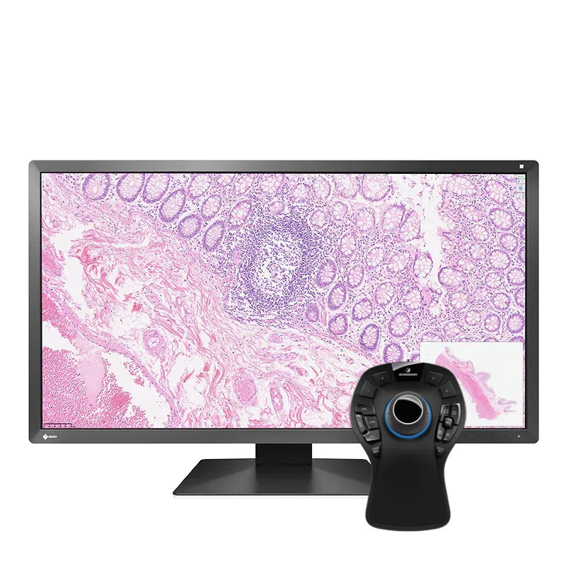 pack-eizo-px3150-30-5-pouces-dci-4k-spacemouse-pro-pathologie image 1