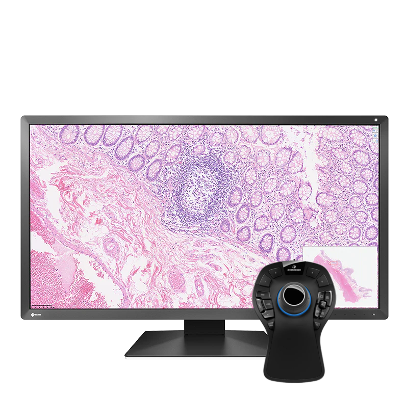 pack-eizo-px3150-30-5-pouces-dci-4k-spacemouse-pro-pathologie image 1