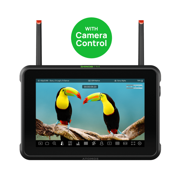 atomos-shinobi-7-rx-moniteur-7-r-cepteur-b-stock image 1